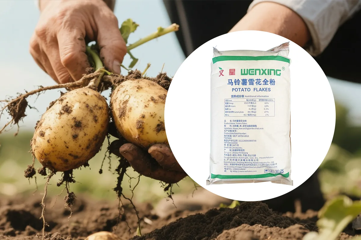 Quelle est la différence entre la farine de flocons de pomme de terre et la farine de granulés de pomme de terre ?