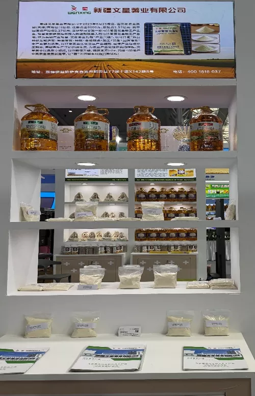 Comment le Xinjiang Wenxing présente-t-il tous les avantages de sa chaîne industrielle de pommes de terre lors de la 9e Exposition Chine-Eurasie ?
